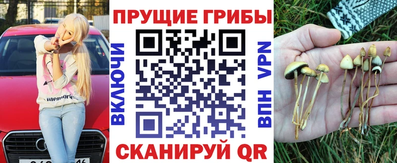 Галлюциногенные грибы Psilocybe  Купить где  Нижняя Тура 
